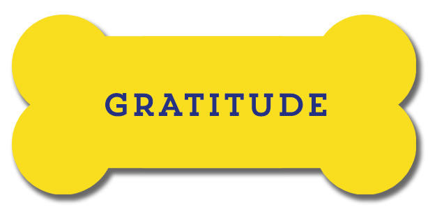 Gratitude